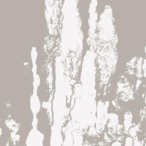 Rees — Music For Stalagmites vinyl cover