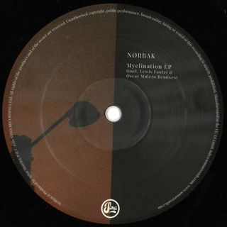 Nørbak — Myelination vinyl cover