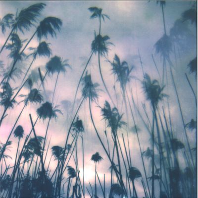 Various — Koselig vinyl cover