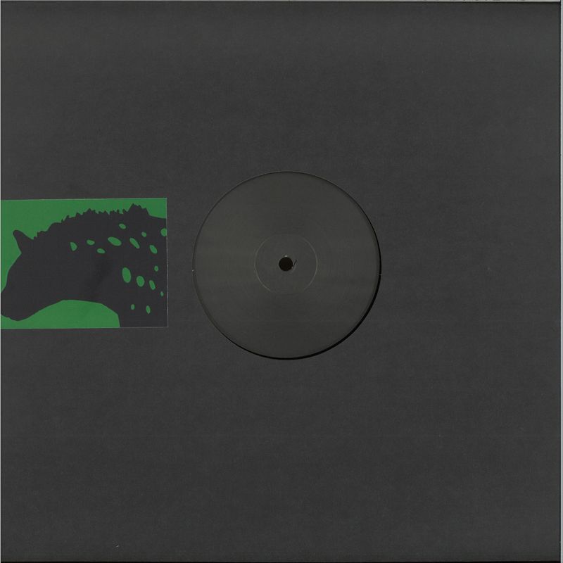 Dynamic Forces — Kazerne 4 vinyl cover