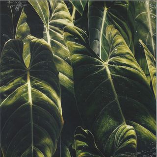 Etro Hahn, Liro — Yagán EP vinyl cover