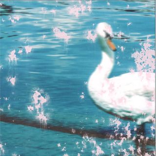 Pvas — Slipstream vinyl cover