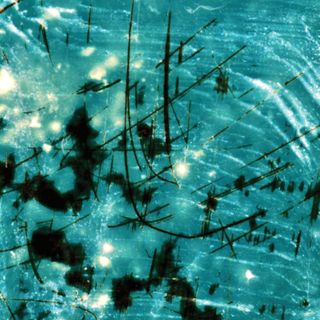 Sean, Böhm — The Missing Link EP vinyl cover