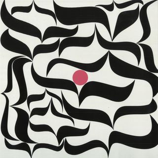 Rosa Brunello — We Are Surging Waters vinyl cover