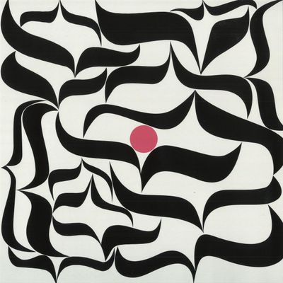 Rosa Brunello — We Are Surging Waters vinyl cover