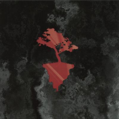 Hlz — BLACK CORE/ARCANE vinyl cover