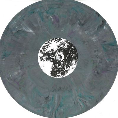 Bruce — Belly / Burned Alive vinyl cover