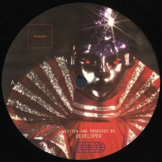 Developer — Panotronix vinyl cover