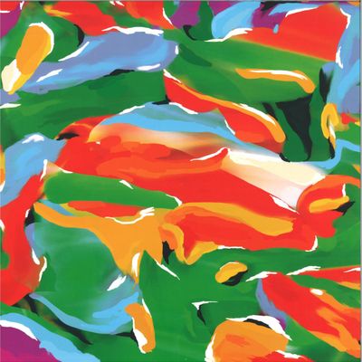 Auntie Flo — Birds of Paradise vinyl cover