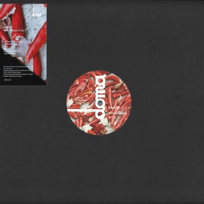 Hugo LX — What Does It Do EP vinyl cover