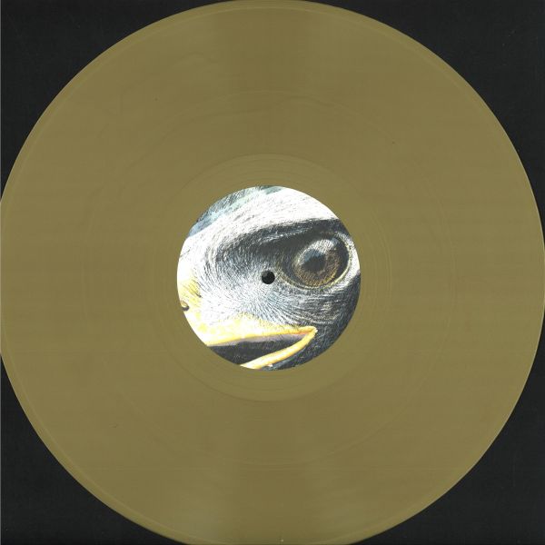Dan*Eds — Yr Elen (Elen’s Hill) vinyl cover