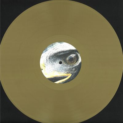 Dan*Eds — Yr Elen (Elen’s Hill) vinyl cover