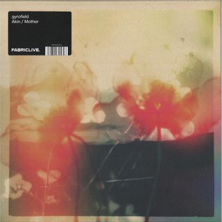 Gyrofield — Akin / Mother vinyl cover