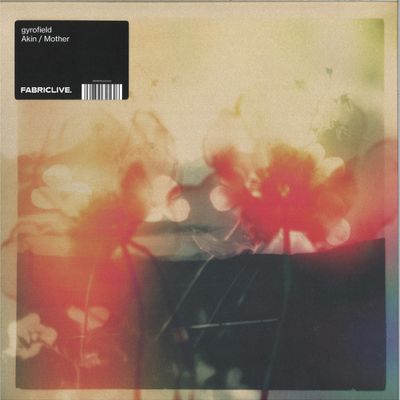 Gyrofield — Akin / Mother vinyl cover