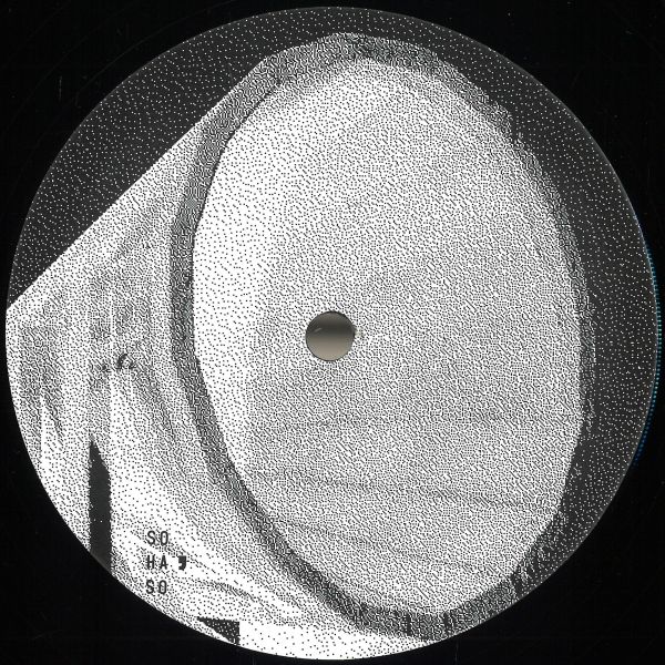 P.a. — Lost Voices vinyl cover