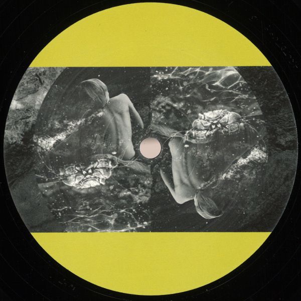 Roll Dann — Traps of Desire vinyl cover
