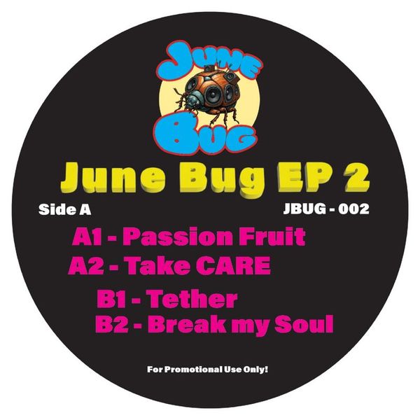 JuneBug — JuneBug EP #2 vinyl cover