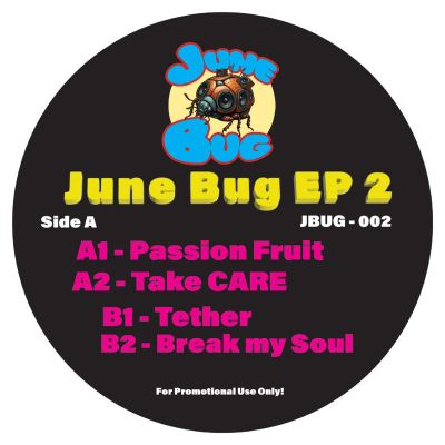 JuneBug — JuneBug EP #2 vinyl cover