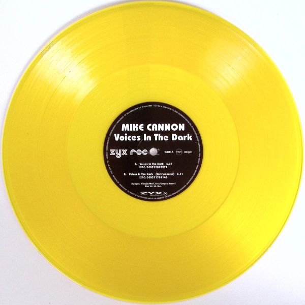 Mike Cannon — Voices In The Dark LP vinyl cover