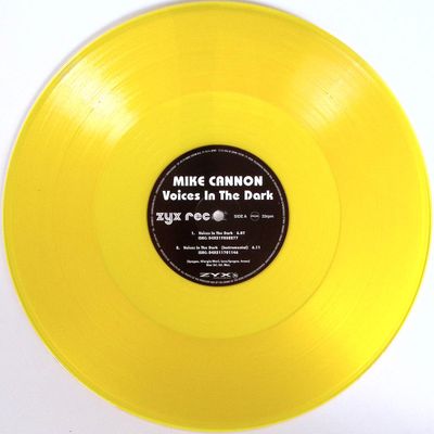 Mike Cannon — Voices In The Dark LP vinyl cover