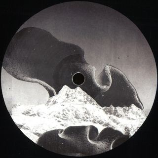 Various — Stepfamily vinyl cover