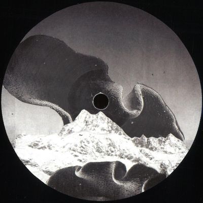 Various — Stepfamily vinyl cover