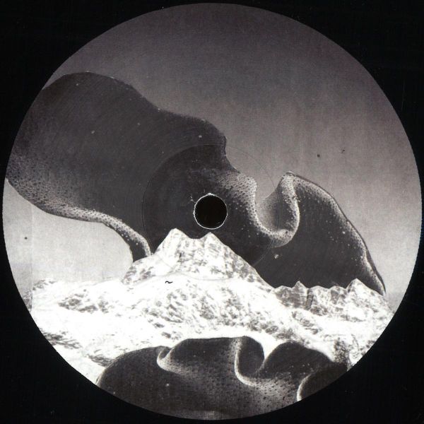 Various — Stepfamily vinyl cover