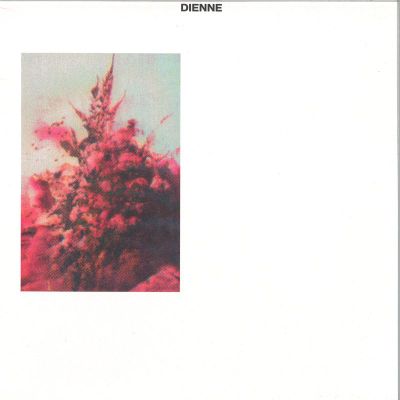 Dienne — Addio LP vinyl cover