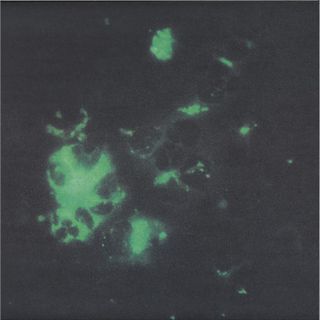Tecture — Anomalous Materials vinyl cover