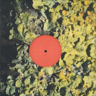 Sa Pa — The Fool vinyl cover