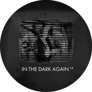 Various — In The Dark Again 14 vinyl cover