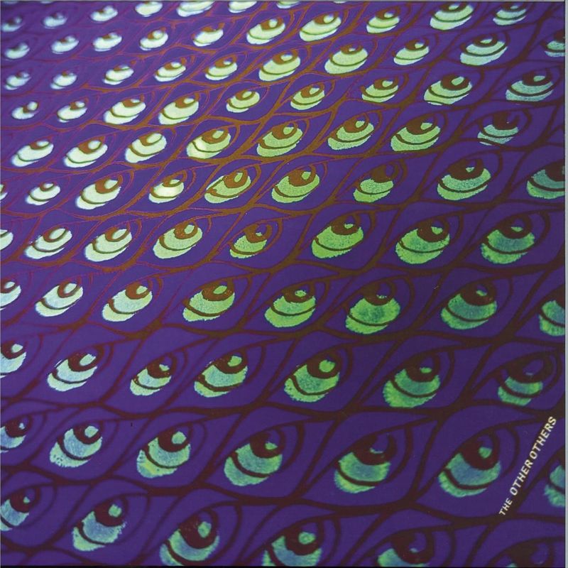 The Other Others — THE OTHER OTHERS LP vinyl cover