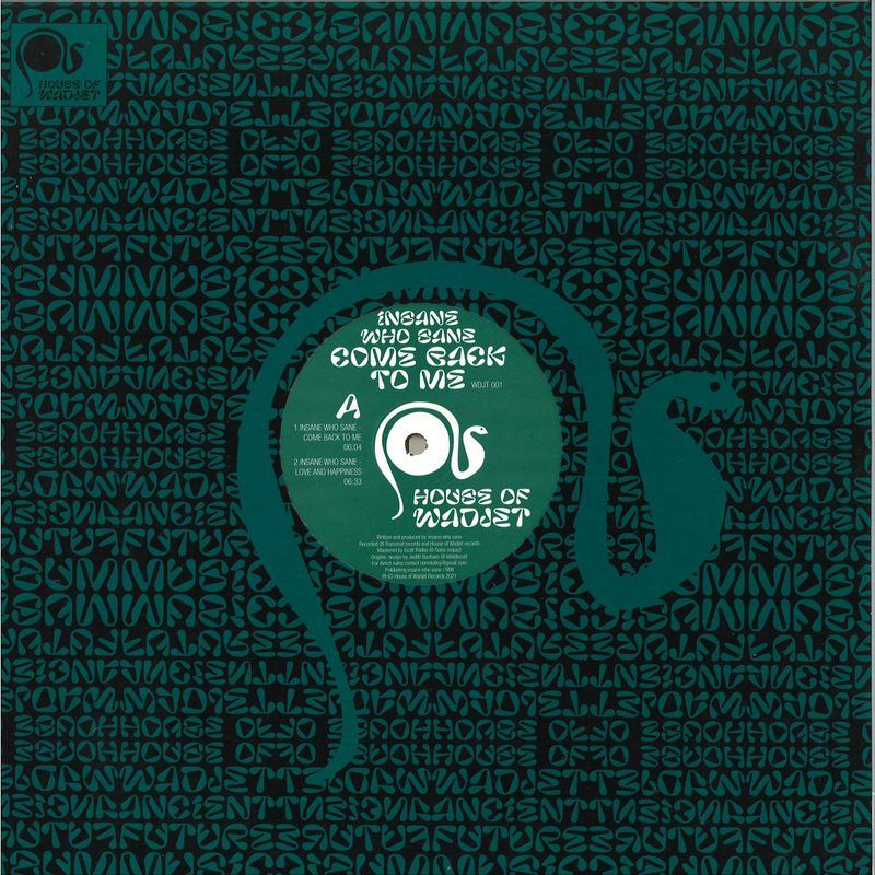Insane Who Sane — Come Back To Me EP vinyl cover