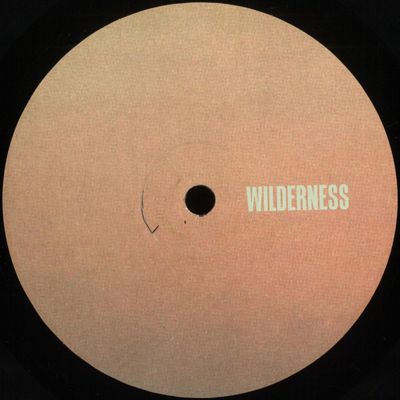 Response, Pliskin — Seabeams EP vinyl cover