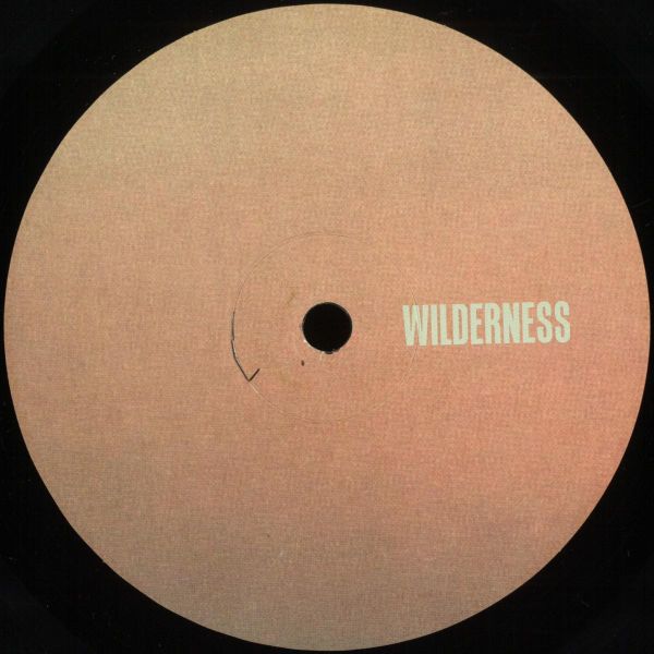 Response, Pliskin — Seabeams EP vinyl cover