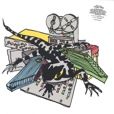 Ulrich Troyer — TRANSIT TRIBE vinyl cover