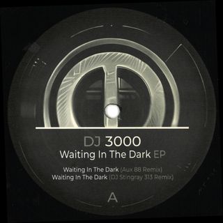 DJ 3000 — Waiting in the Dark EP vinyl cover