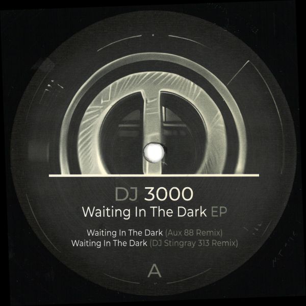 DJ 3000 — Waiting in the Dark EP vinyl cover
