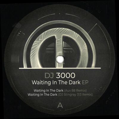 DJ 3000 — Waiting in the Dark EP vinyl cover