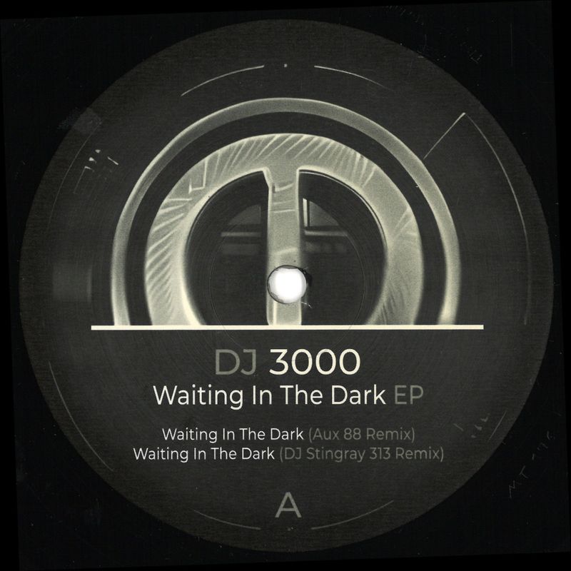 DJ 3000 — Waiting in the Dark EP vinyl cover