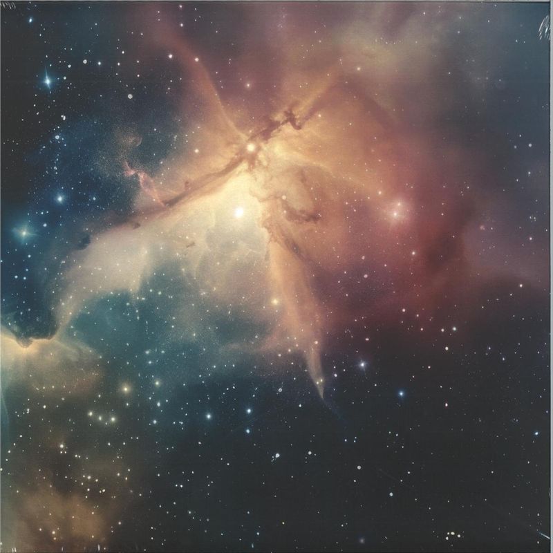 Angela Winter — Forbidden Questions In Space vinyl cover