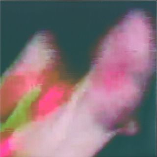 Function — Existenz 4x12" vinyl cover