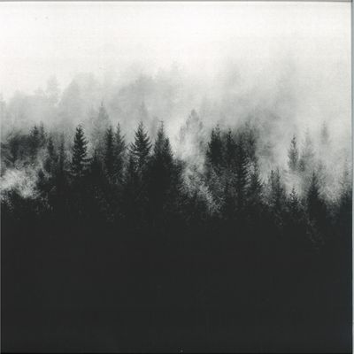 Zake — Veta vinyl cover