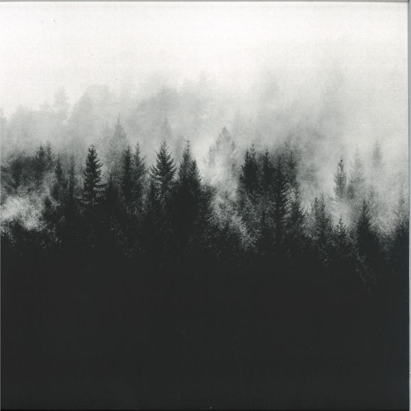 Zake — Veta vinyl cover