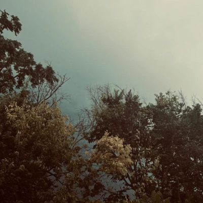 Zake — Lowland: In Three (TAPE) vinyl cover