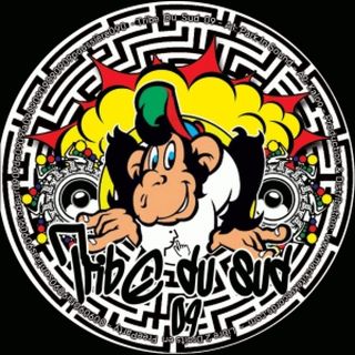 Various — Tribe Du Sud 09 vinyl cover