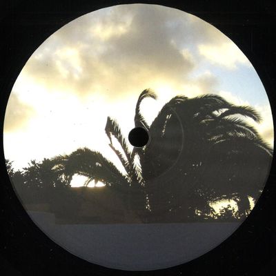 RP — SCHARNHORST006 vinyl cover