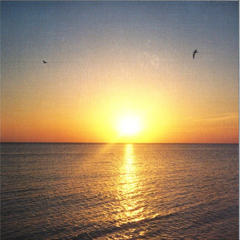 Various — Saulėlydis LP 2x12" vinyl cover
