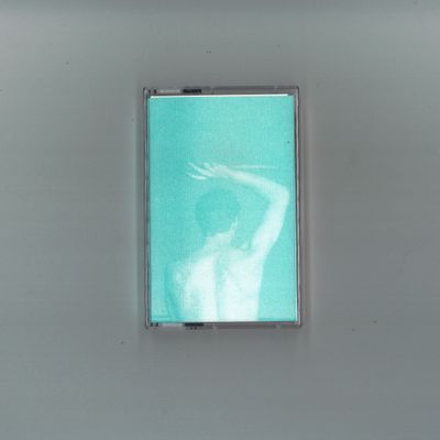 Various — THE MALE BODY WILL NEXT PT.2 (TAPE) vinyl cover