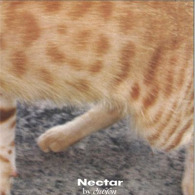 Dublon — Nectar (2026 repress) vinyl cover